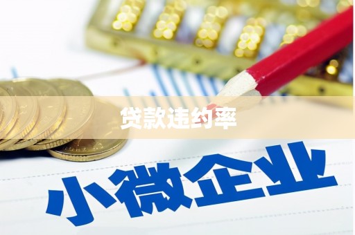 二林贷款违约率