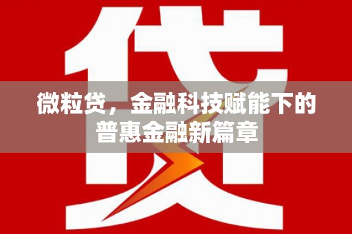 二林微粒贷，金融科技赋能下的普惠金融新篇章