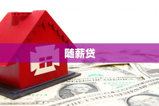 二林随薪贷