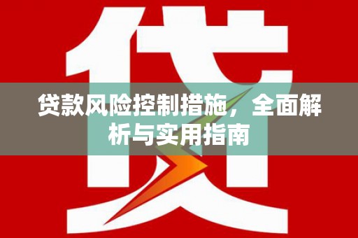 二林贷款风险控制措施，全面解析与实用指南