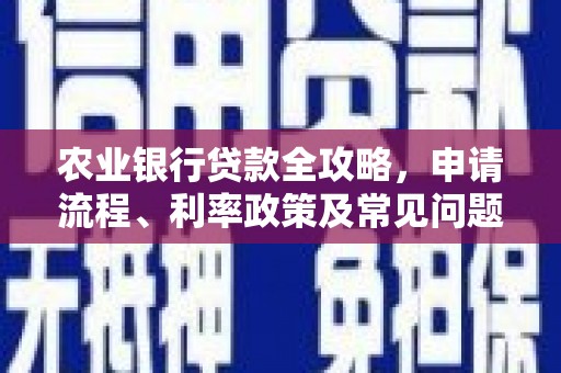 二林农业银行贷款全攻略，申请流程、利率政策及常见问题解析