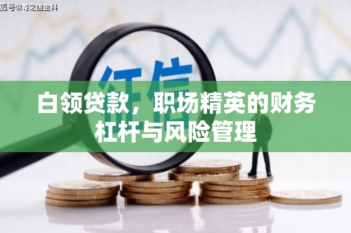 二林白领贷款，职场精英的财务杠杆与风险管理