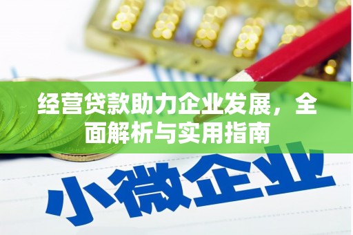 二林经营贷款助力企业发展，全面解析与实用指南