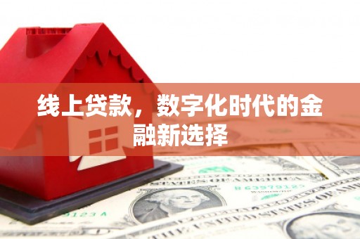 二林线上贷款，数字化时代的金融新选择