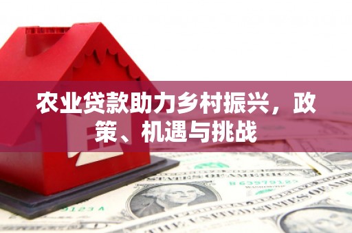 二林农业贷款助力乡村振兴，政策、机遇与挑战