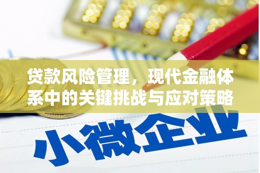 二林贷款风险管理，现代金融体系中的关键挑战与应对策略