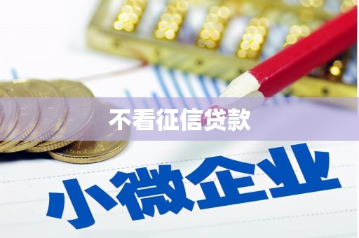 二林不看征信贷款