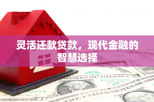 二林灵活还款贷款，现代金融的智慧选择