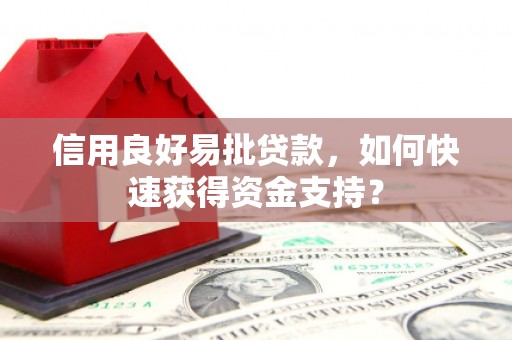 二林信用良好易批贷款，如何快速获得资金支持？