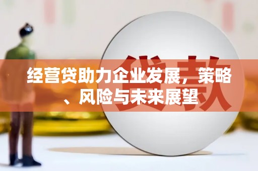 二林经营贷助力企业发展，策略、风险与未来展望