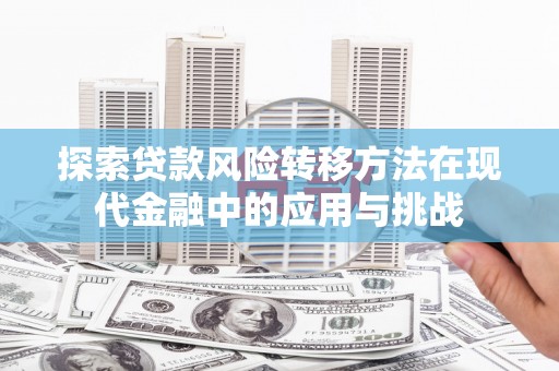 二林探索贷款风险转移方法在现代金融中的应用与挑战