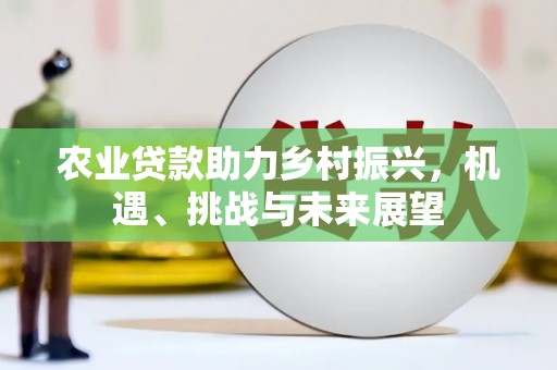 二林农业贷款助力乡村振兴，机遇、挑战与未来展望