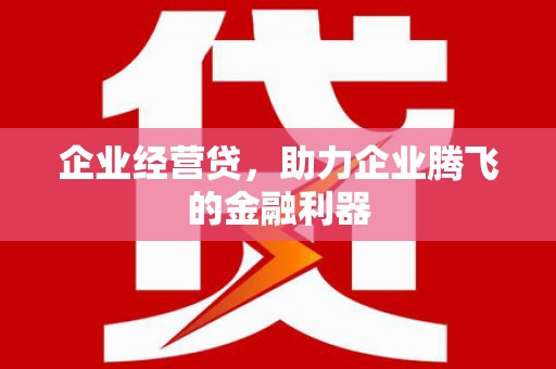 二林企业经营贷，助力企业腾飞的金融利器