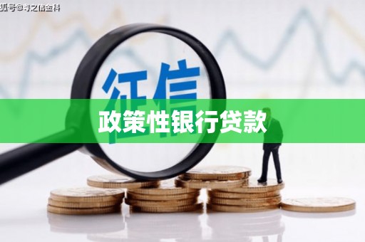二林政策性银行贷款