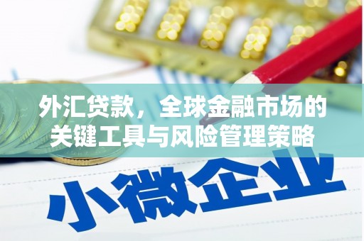 二林外汇贷款，全球金融市场的关键工具与风险管理策略