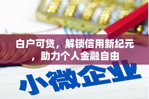 二林白户可贷，解锁信用新纪元，助力个人金融自由