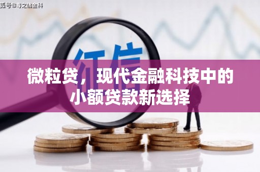二林微粒贷，现代金融科技中的小额贷款新选择