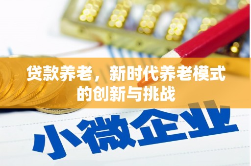 二林贷款养老，新时代养老模式的创新与挑战