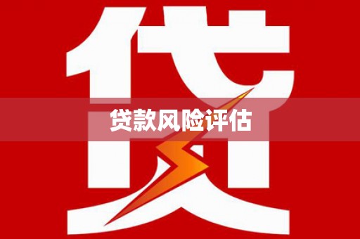二林贷款风险评估