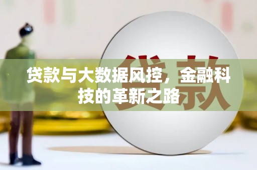 二林贷款与大数据风控，金融科技的革新之路
