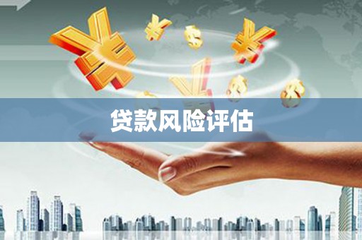 二林贷款风险评估