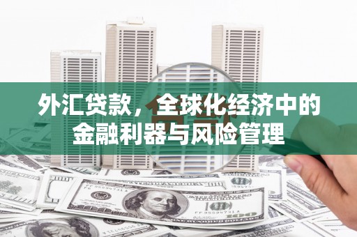 二林外汇贷款，全球化经济中的金融利器与风险管理