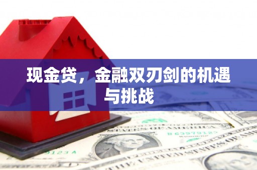 二林现金贷，金融双刃剑的机遇与挑战
