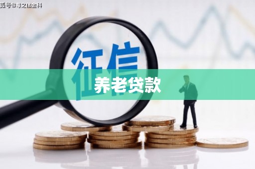 二林养老贷款