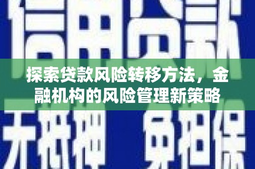 二林探索贷款风险转移方法，金融机构的风险管理新策略