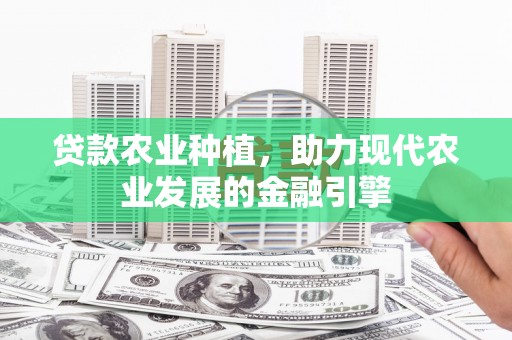 二林贷款农业种植，助力现代农业发展的金融引擎