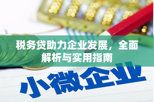 二林税务贷助力企业发展，全面解析与实用指南