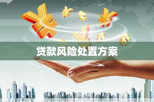 二林贷款风险处置方案