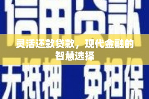 二林灵活还款贷款，现代金融的智慧选择
