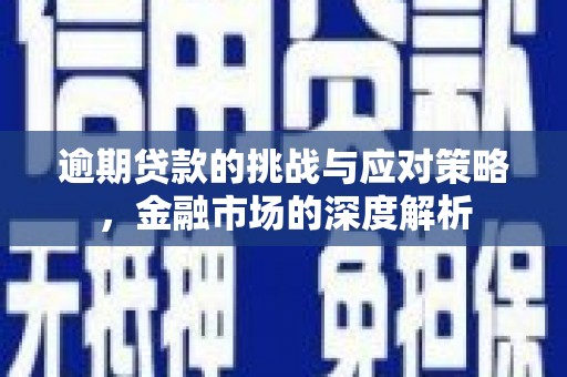 二林逾期贷款的挑战与应对策略，金融市场的深度解析