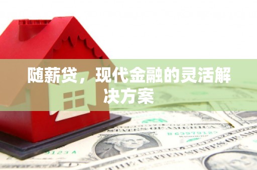 二林随薪贷，现代金融的灵活解决方案