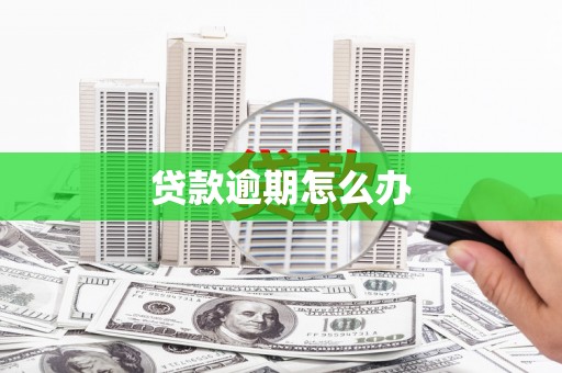 二林贷款逾期怎么办