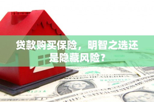 二林贷款购买保险，明智之选还是隐藏风险？