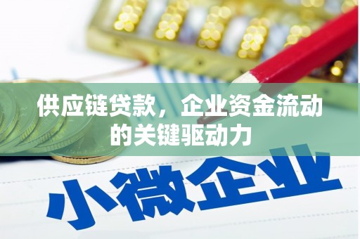 二林供应链贷款，企业资金流动的关键驱动力