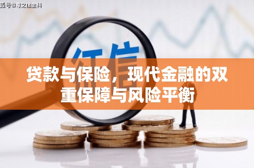 二林贷款与保险，现代金融的双重保障与风险平衡