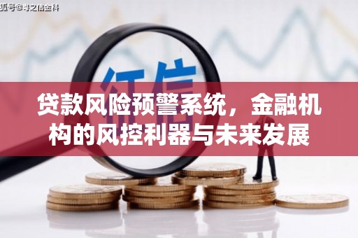二林贷款风险预警系统，金融机构的风控利器与未来发展