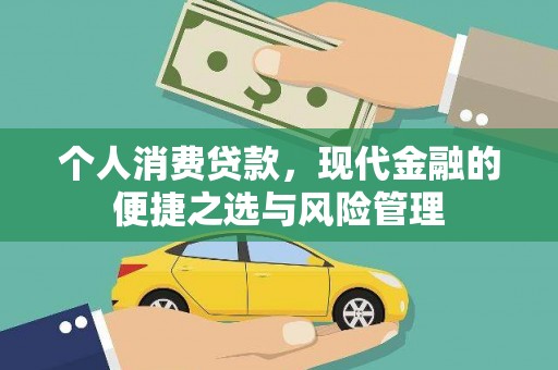 二林个人消费贷款，现代金融的便捷之选与风险管理