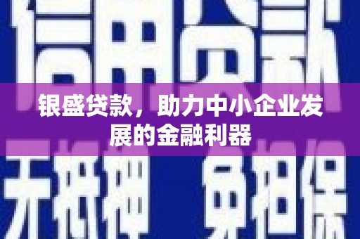 二林银盛贷款，助力中小企业发展的金融利器