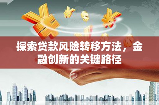 二林探索贷款风险转移方法，金融创新的关键路径