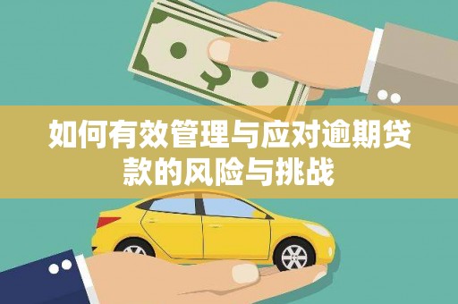 二林如何有效管理与应对逾期贷款的风险与挑战