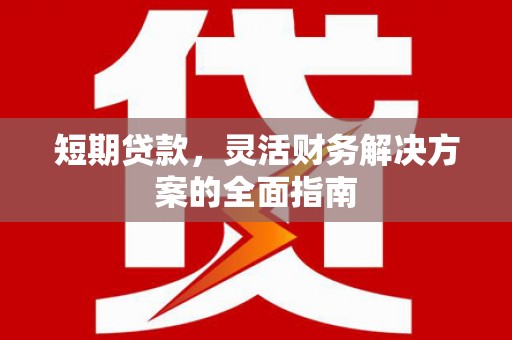 二林短期贷款，灵活财务解决方案的全面指南