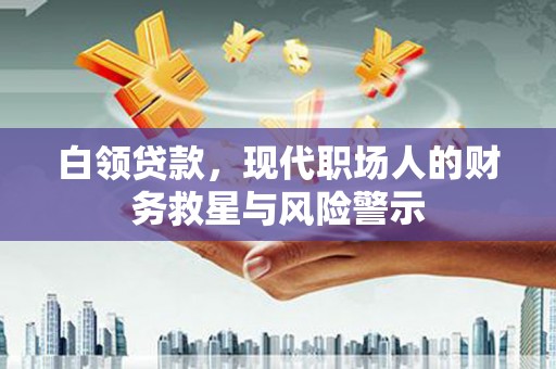 二林白领贷款，现代职场人的财务救星与风险警示