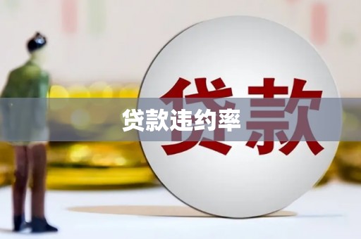 二林贷款违约率