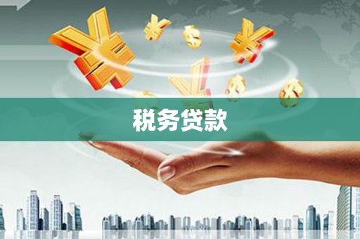 二林税务贷款