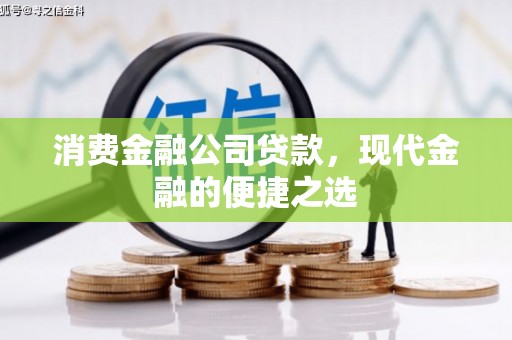 二林消费金融公司贷款，现代金融的便捷之选