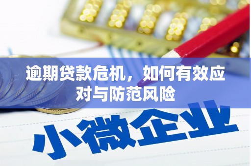 二林逾期贷款危机，如何有效应对与防范风险